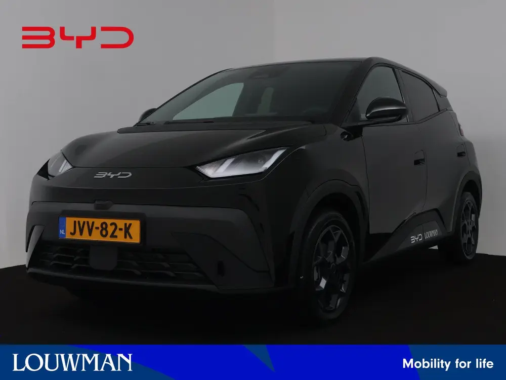 BYD Dolphin Surf Comfort 43 kWh uit 2026
