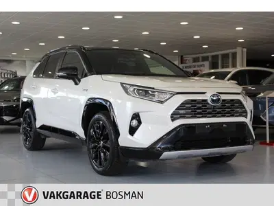 Toyota RAV 4 2.5 Hybrid Bi-Tone uit 2022