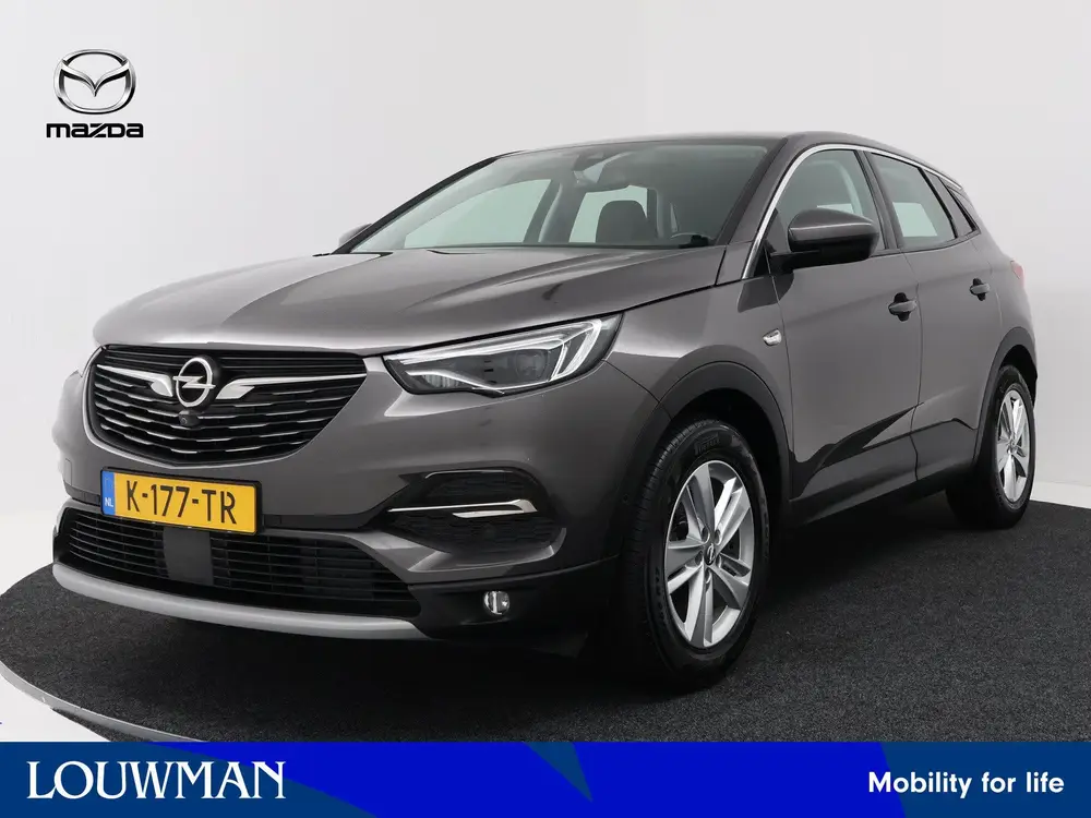 Opel Grandland X 1.2 Turbo Business Elegance uit 2021