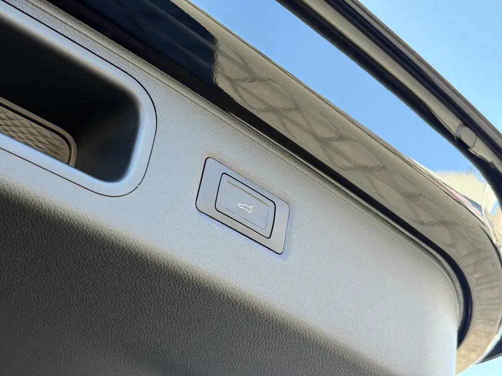 Voyah Free Flagship 4WD 106 kWh | Panoramadak | Dynaudio Hi uit 2025, foto 8