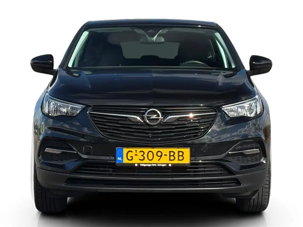 Opel Grandland X 1.2 Turbo 130 pk ✅ CarPlay ✅ Clima ✅ uit 2019, foto 10