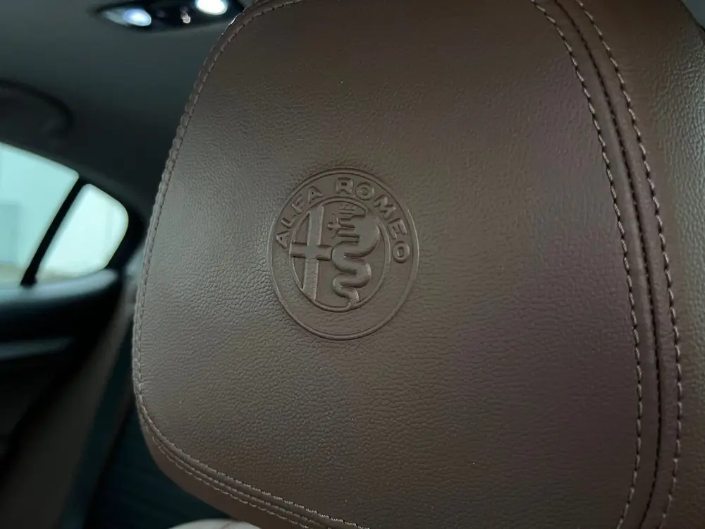 Alfa Romeo Stelvio 2.2JTD 180pk Super/Automaat8/Leder/Trekh/ uit 2019, foto 17