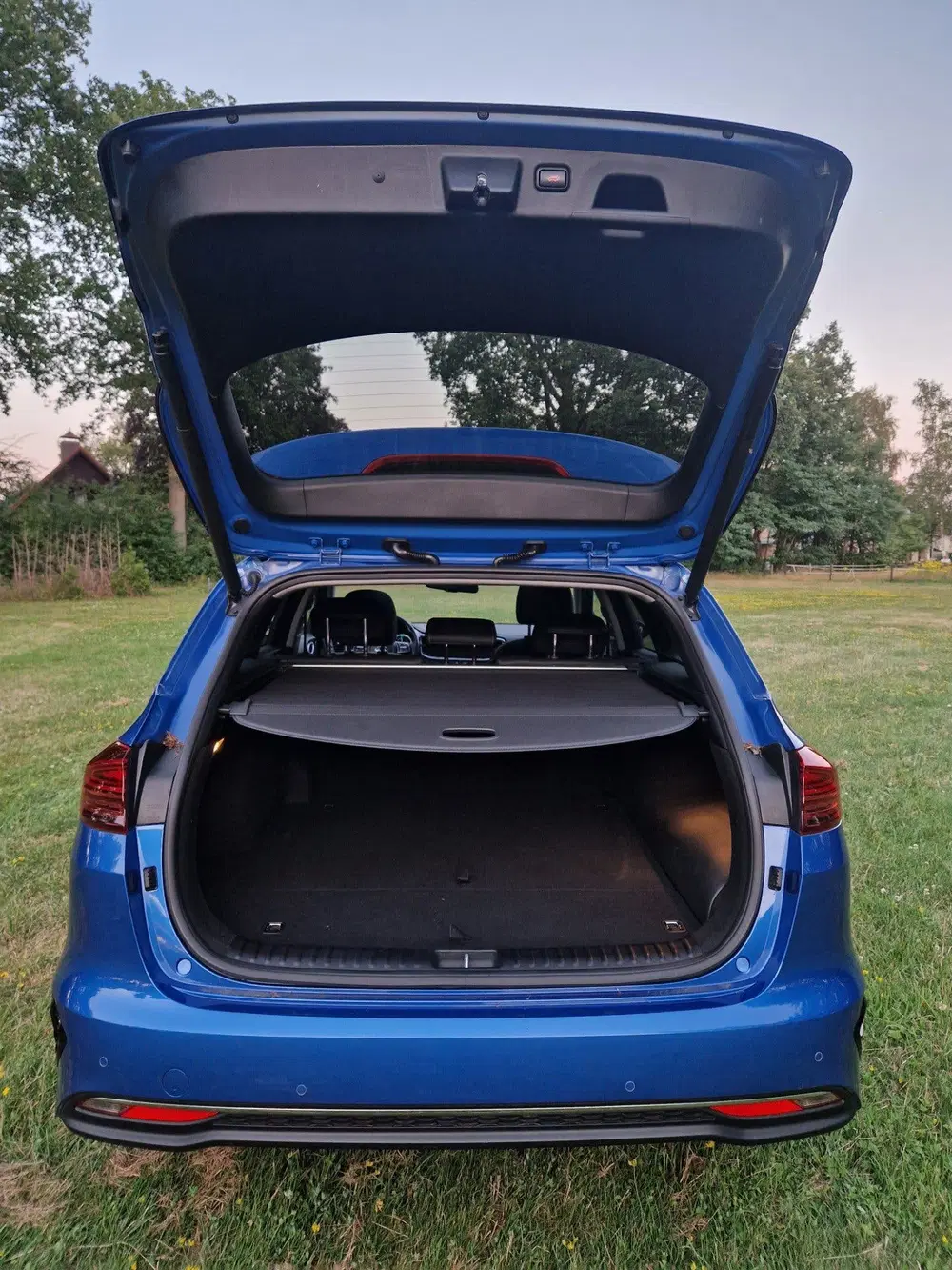 Kia Ceed 1.6 GDI PHEV ExecutiveLine uit 2020, foto 9