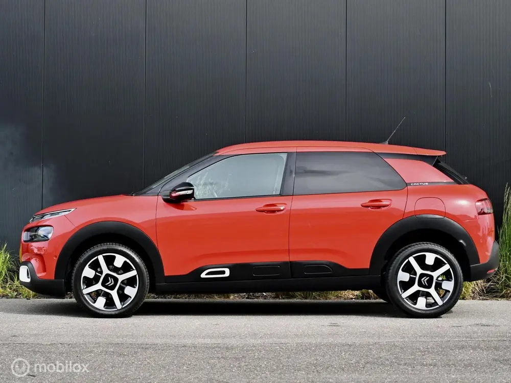 Citroën C4 Cactus Citroen C4 Cactus Shine 110pk I Automaat I uit 2019, foto 2
