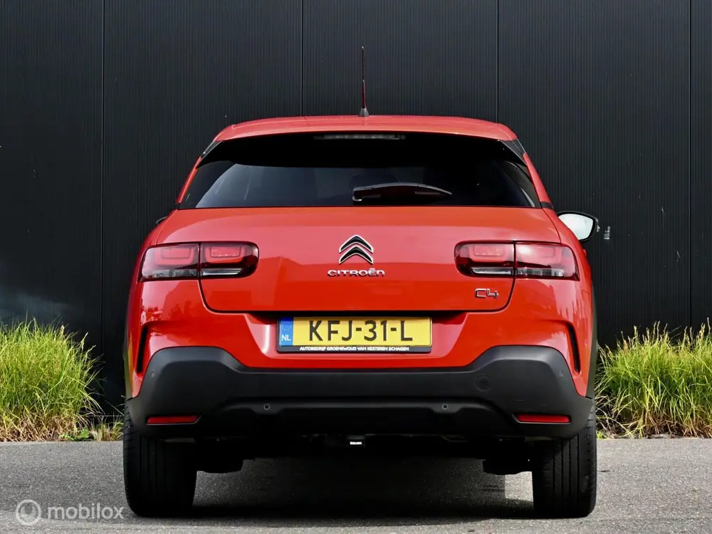 Citroën C4 Cactus Citroen C4 Cactus Shine 110pk I Automaat I uit 2019, foto 4