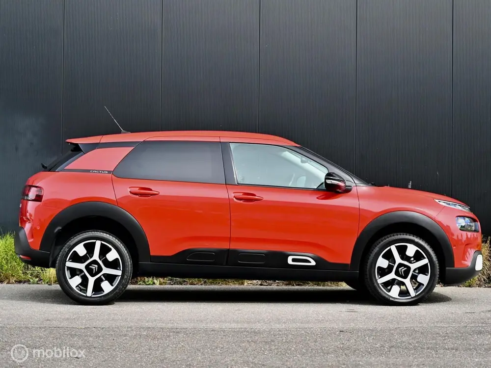 Citroën C4 Cactus Citroen C4 Cactus Shine 110pk I Automaat I uit 2019, foto 5