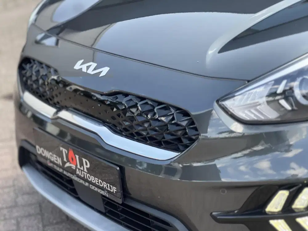Kia Niro 1.6 GDi PHEV DynamicLine Clima Cruise NAV uit 2022, foto 7