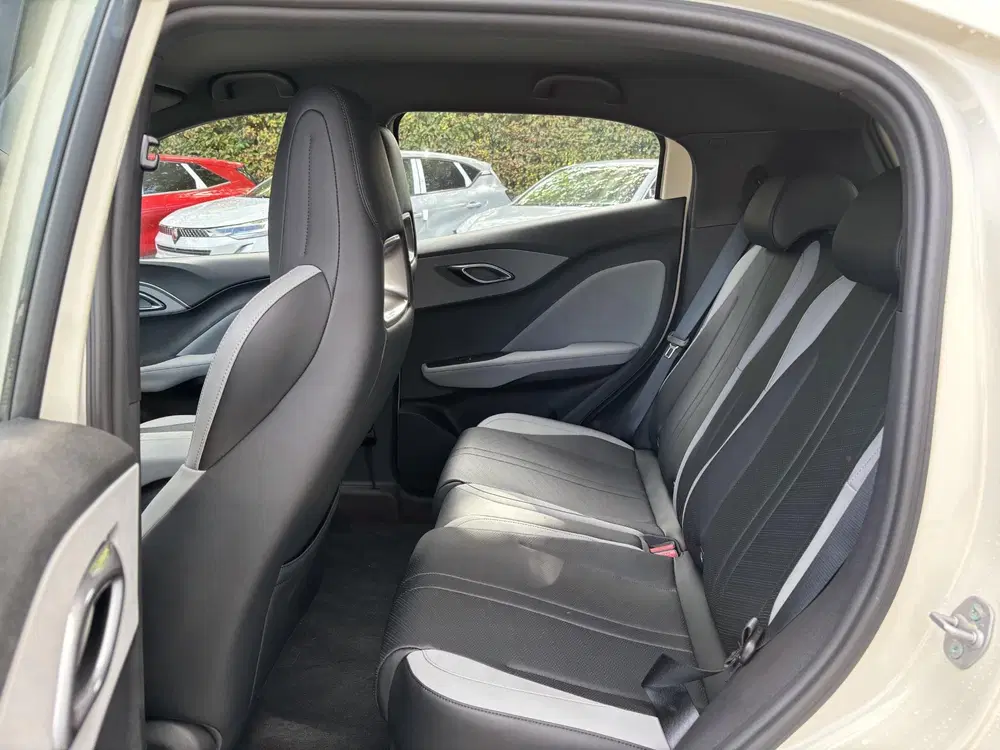 BYD Dolphin Surf Boost 43 kWh l Apple Carplay uit 2026, foto 9