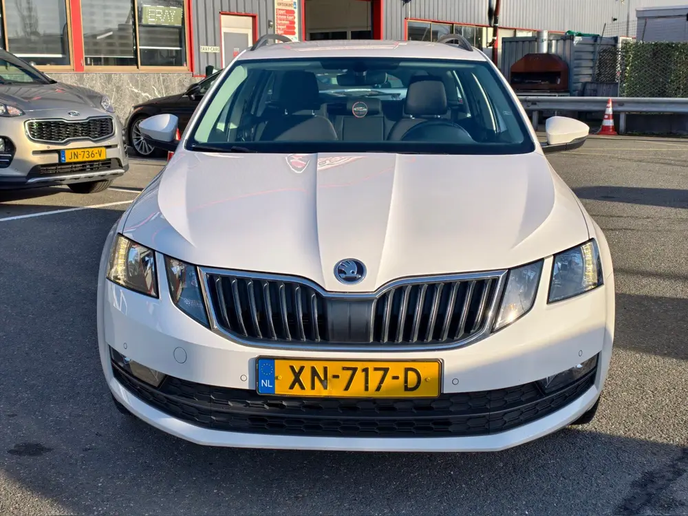 Skoda Octavia 1.0 TSI Greentech Ambition Business uit 2019, foto 15