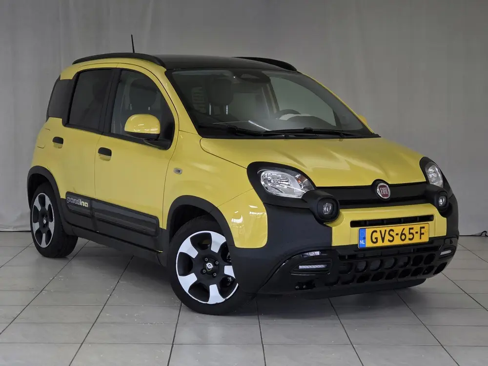 Fiat Panda 1.0 Hybrid Pandina uit 2024, foto 3