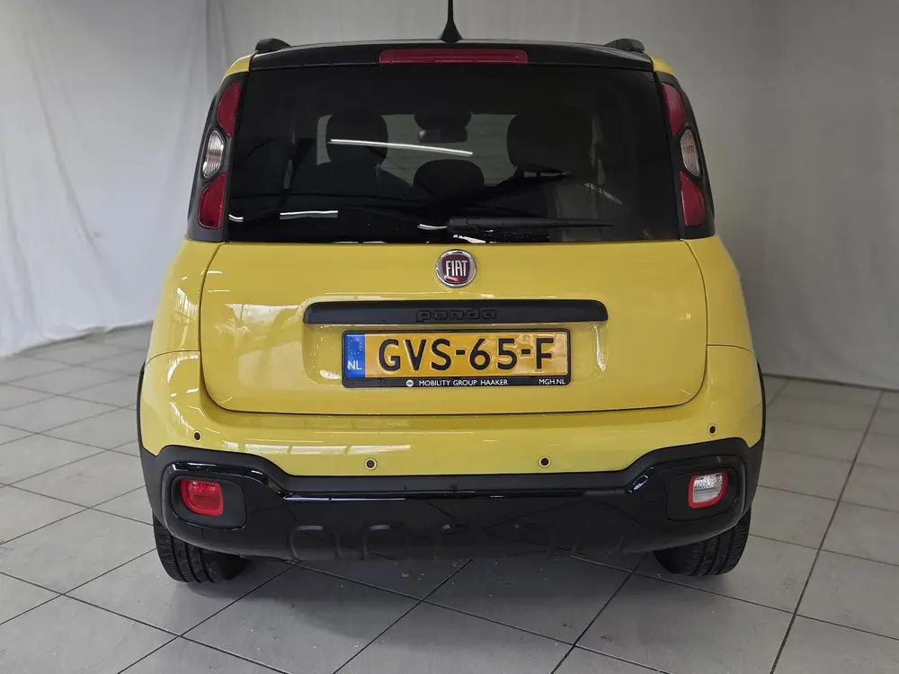 Fiat Panda 1.0 Hybrid Pandina uit 2024, foto 9