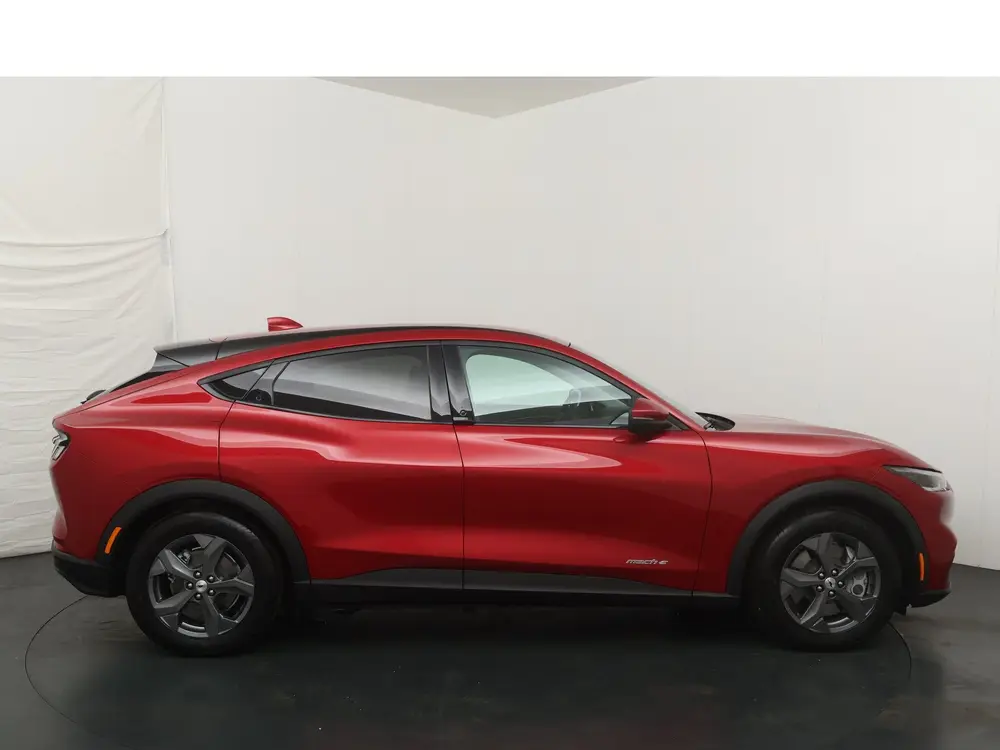 Ford Mustang Mach-E RWD 75 kWh 268 pk uit 2025, foto 6