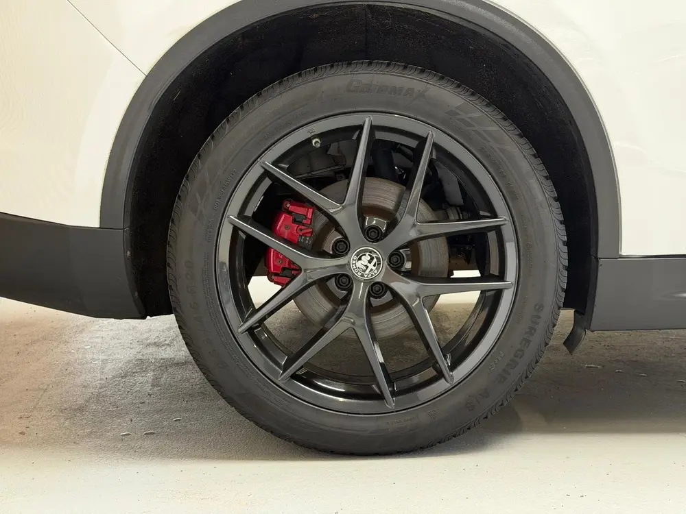 Alfa Romeo Stelvio 2.0 T AWD B-Tech - 20 INCH - PANO - SPORT uit 2019, foto 19