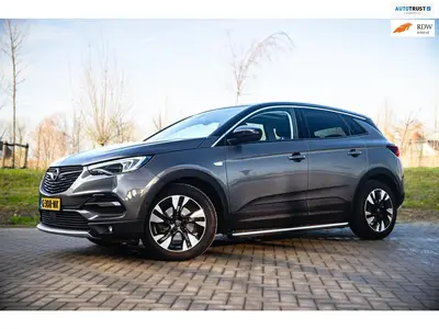 Opel Grandland X 1.2 Turbo Business Executive PANO NAVI WIN uit 2019
