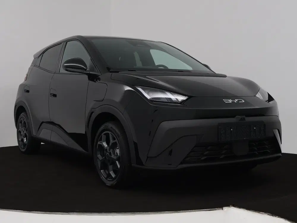 BYD Dolphin Surf Comfort 43 kWh uit 2026, foto 15