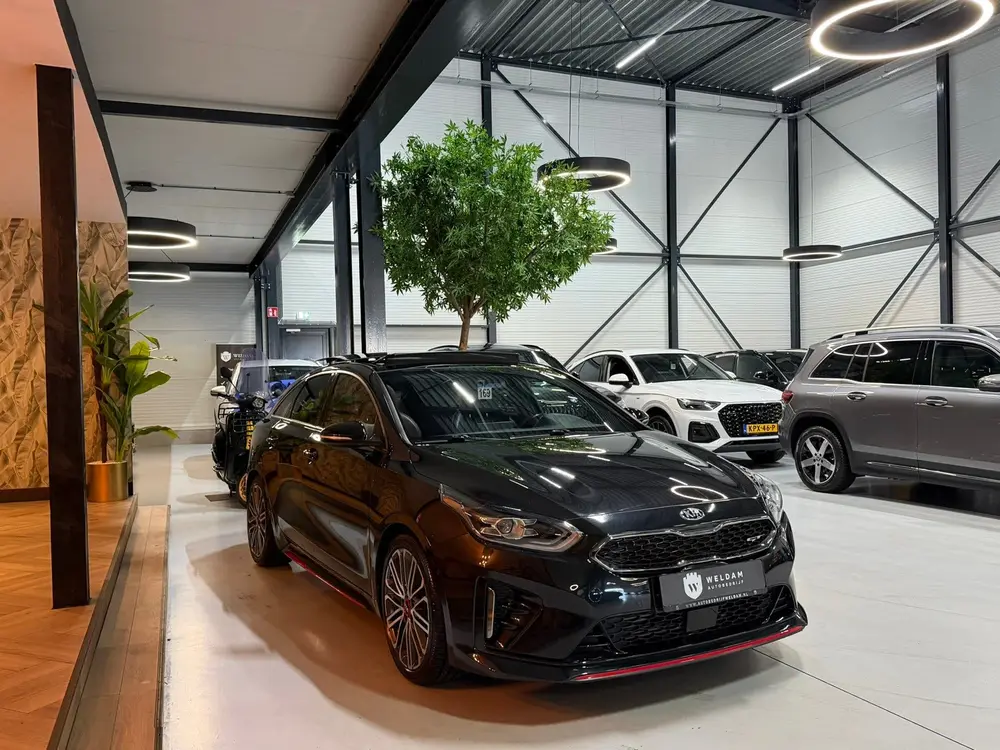 Kia ProCeed 1.6 T-GDI GT 12-2019 Garantie uit 2019, foto 10