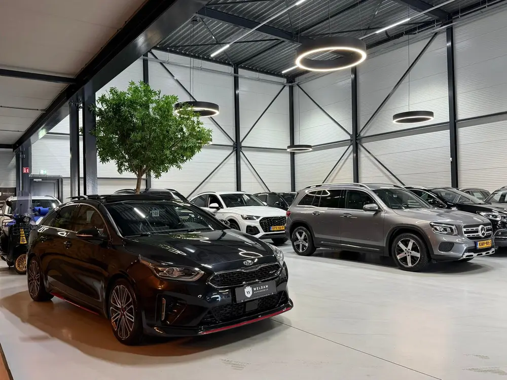 Kia ProCeed 1.6 T-GDI GT 12-2019 Garantie uit 2019, foto 11