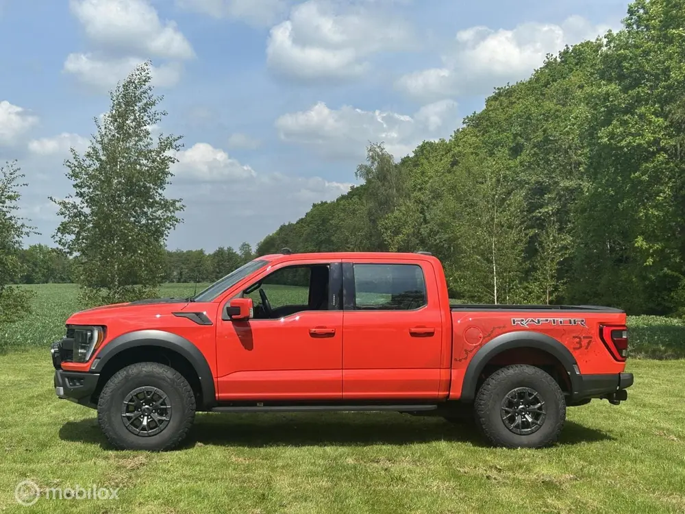 Ford F150 F150 Raptor 37" Package 450pk 2024 1e Eigenaar! uit 2024, foto 4