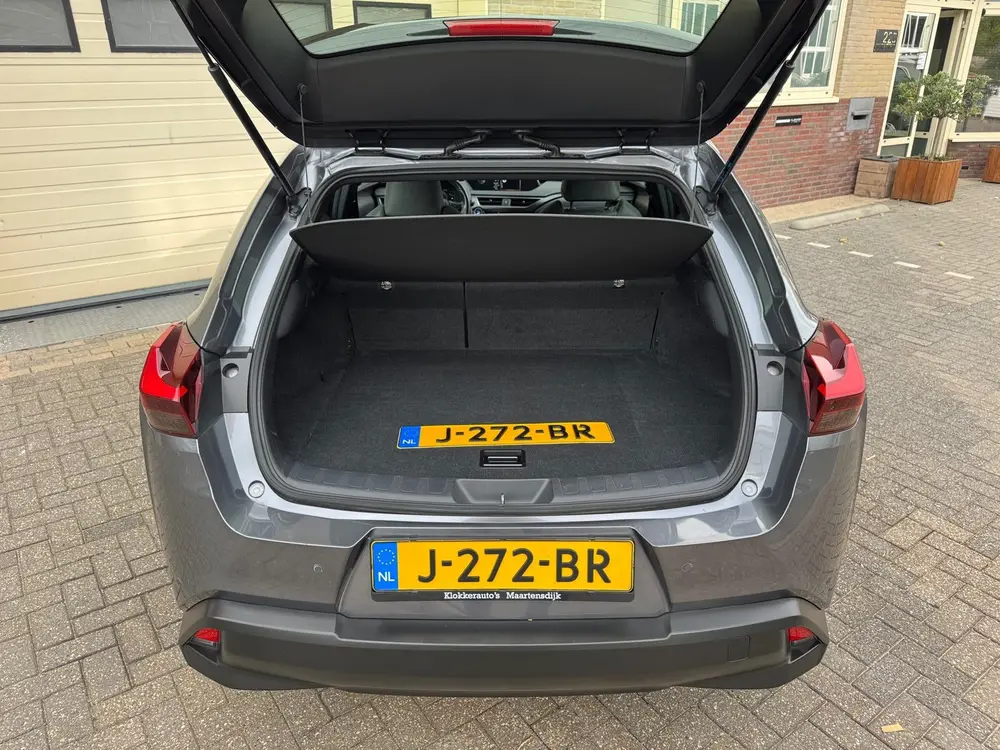 Lexus UX 250h Business Line Dealer ondh.|2E EIG|ORIG NL|Line uit 2020, foto 18