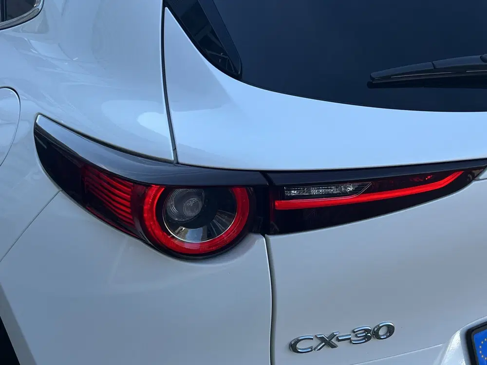 Mazda CX-30 2.0 e-SkyActiv-X M Hybrid Luxury uit 2020, foto 14