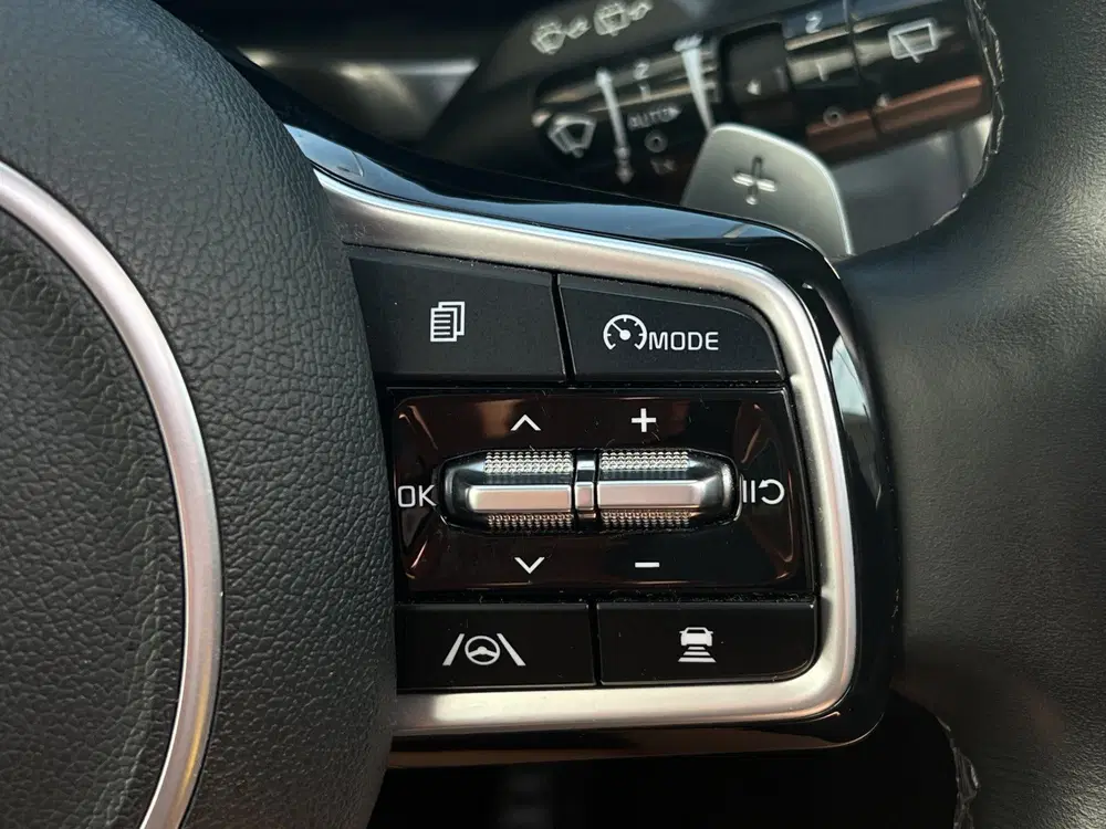 Kia Sorento 1.6 T-GDI Plug-in Hybrid 4WD ExecutiveLine uit 2021, foto 15