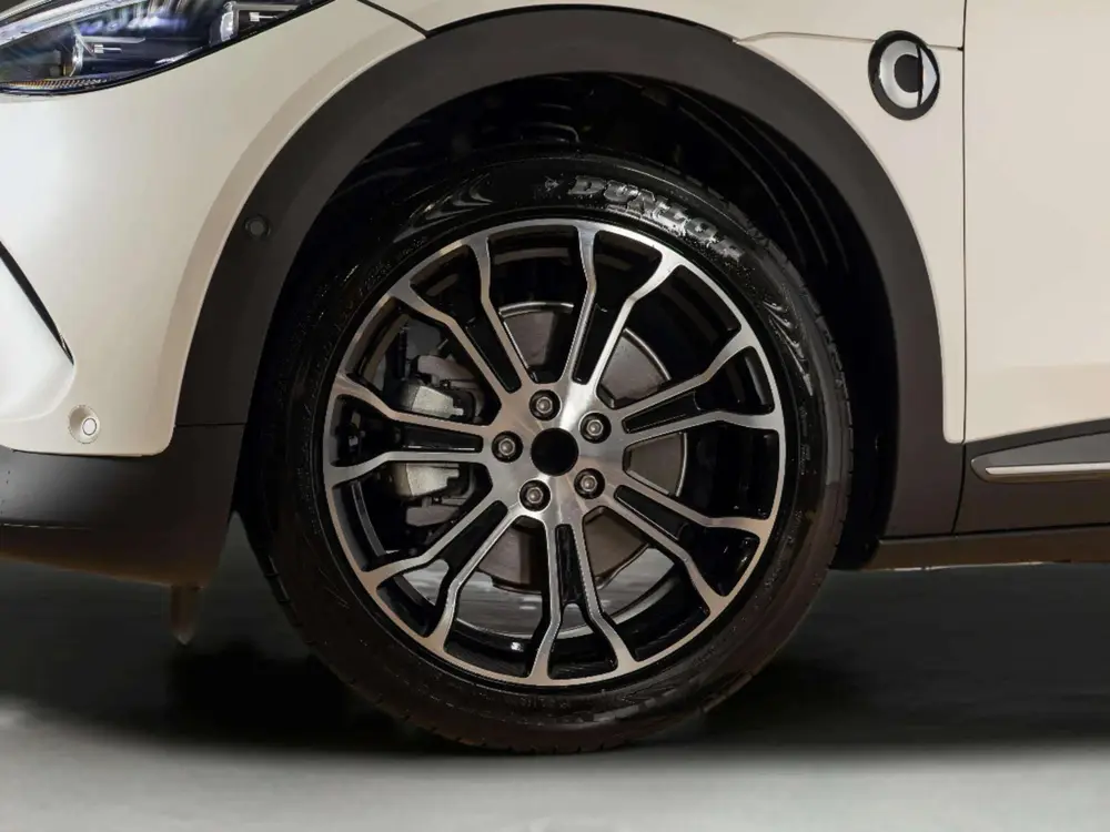 Smart #3 Premium 66 kWh uit 2026, foto 6