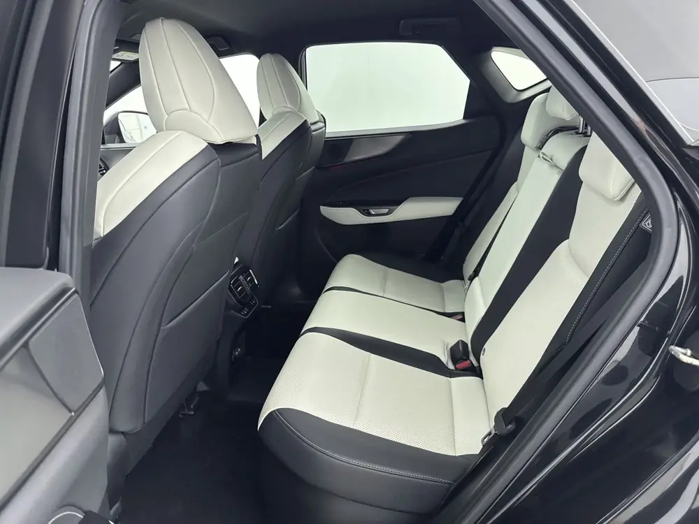 Lexus NX 450h+ AWD F-Sport Line uit 2022, foto 17