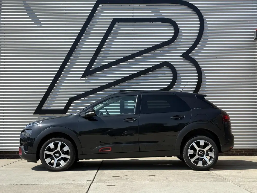 Citroën C4 Cactus Citroen C4 Cactus 1.2 PureTech Origins 2e Eigenaar|Navi|D-ri uit 2019, foto 5