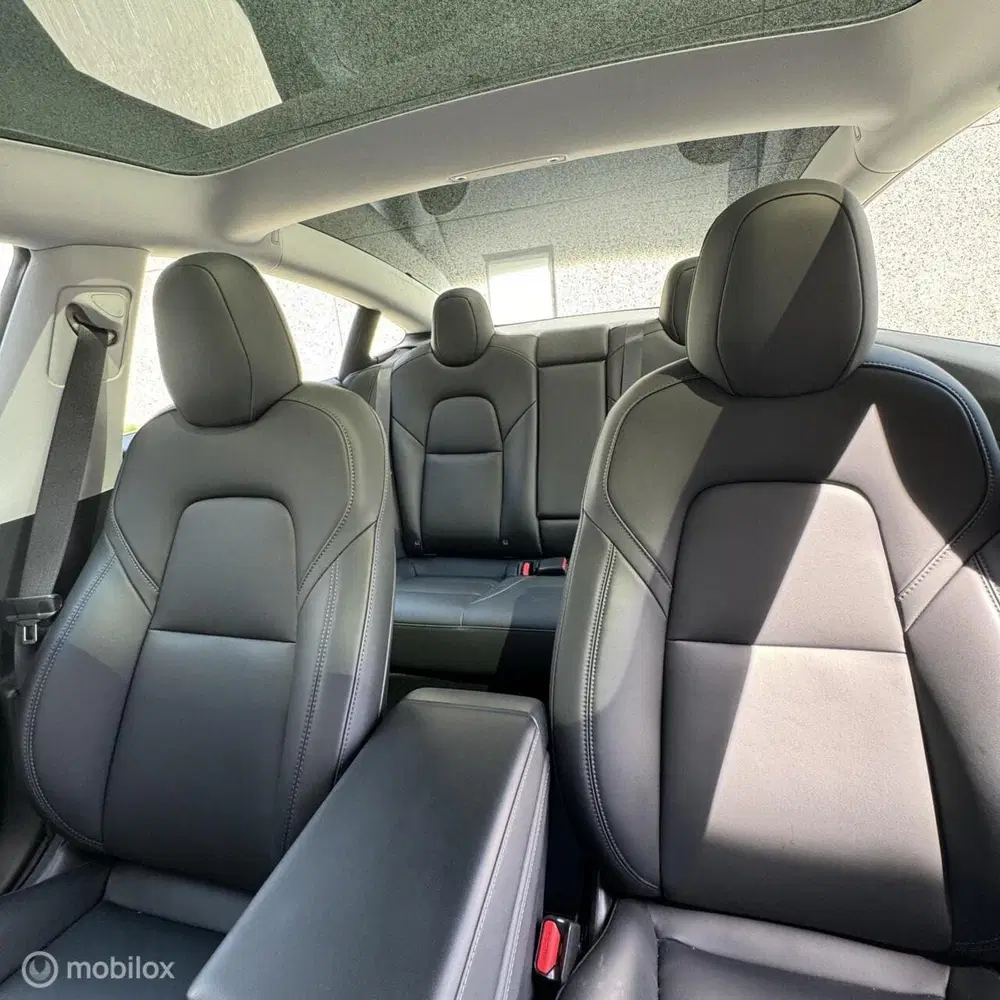 Tesla Model 3 Long Range AWD + MMX PACK + IAP uit 2022, foto 9