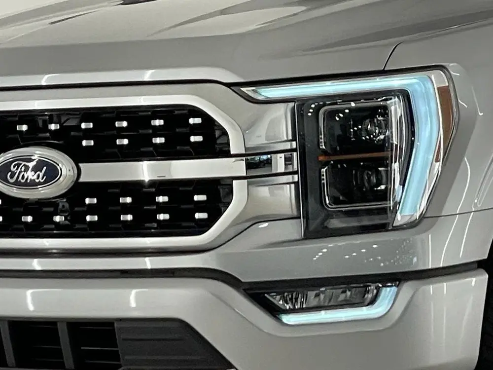 Ford F150 USA F-150 3.5 V6 Ecoboost PLATINUM NIEUWE AUTO! BPM VRI uit 2022, foto 2
