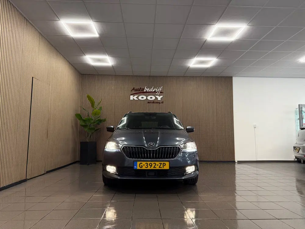 Skoda Fabia 1.0 TSI Business Edition * Carplay uit 2020, foto 8