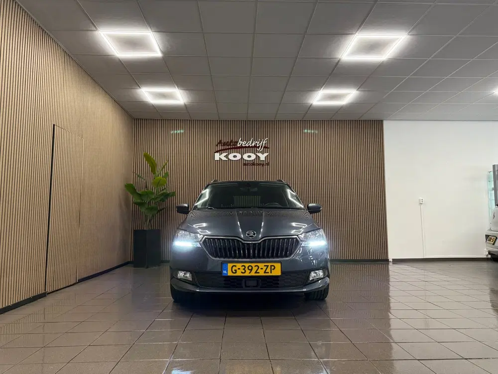 Skoda Fabia 1.0 TSI Business Edition * Carplay uit 2020, foto 9