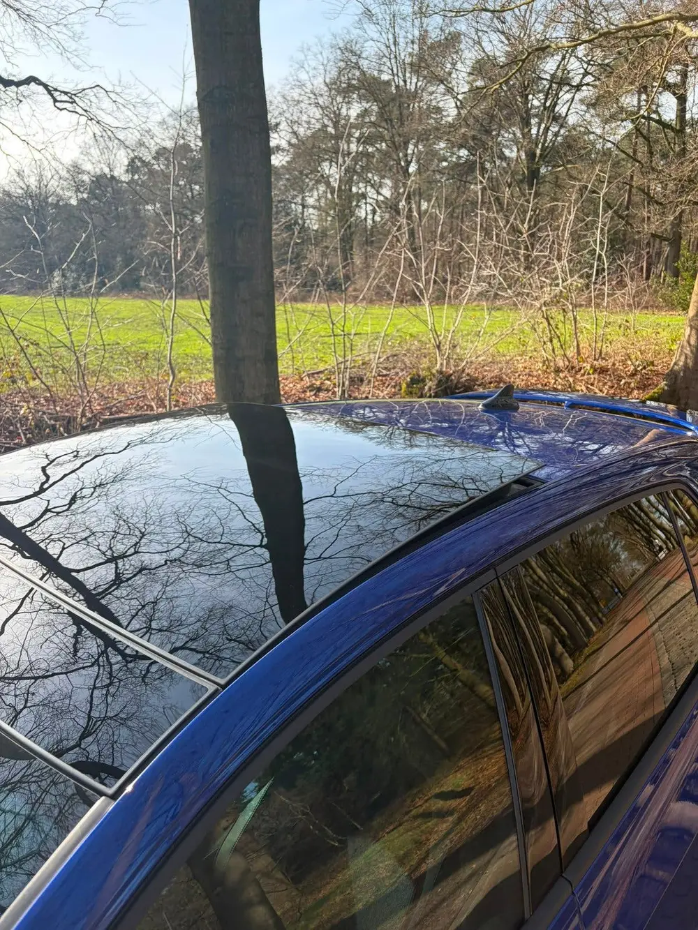 Volkswagen Golf 2.0 TSI 320pk 7-DSG 4MOTION 2021 Blauw uit 2021, foto 7