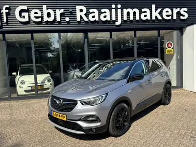 Opel Grandland X 1.2 Turbo Business Executive*Navigatie*Win uit 2020