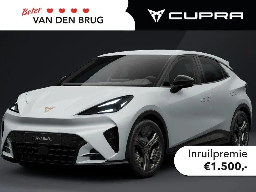 Cupra Raval Business 39 kWh 135 PK uit 2026