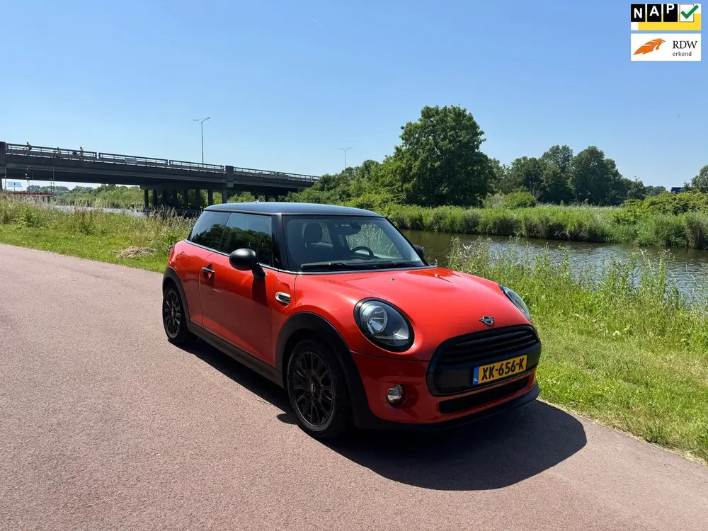 Mini One One First Salt uit 2019