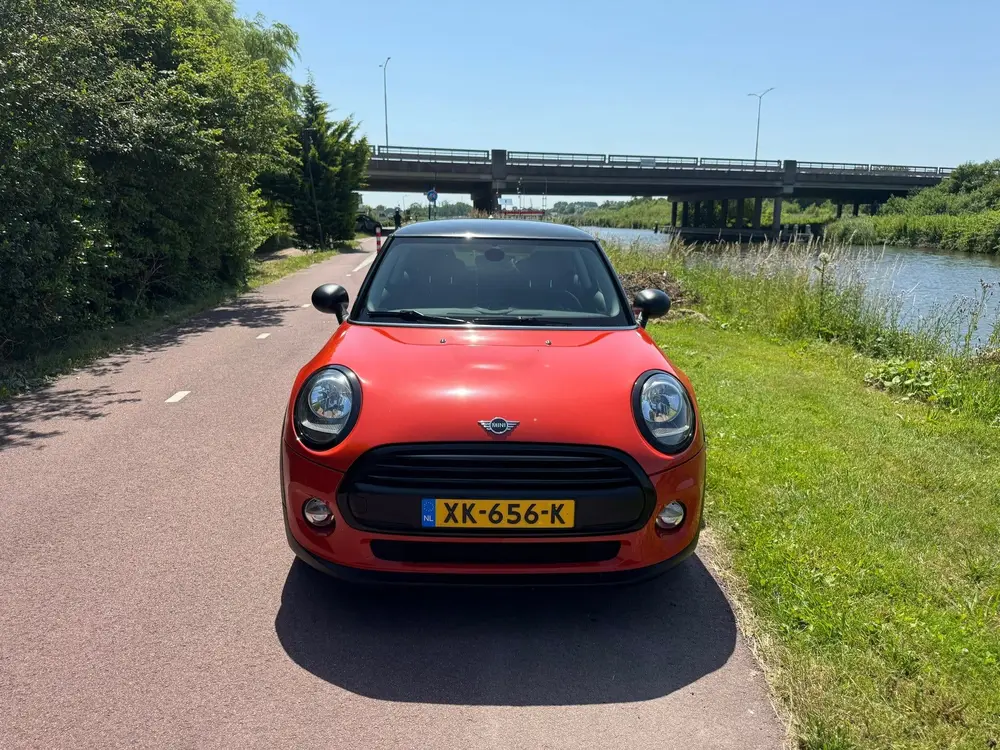 Mini One One First Salt uit 2019, foto 2