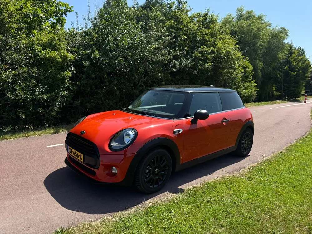Mini One One First Salt uit 2019, foto 3