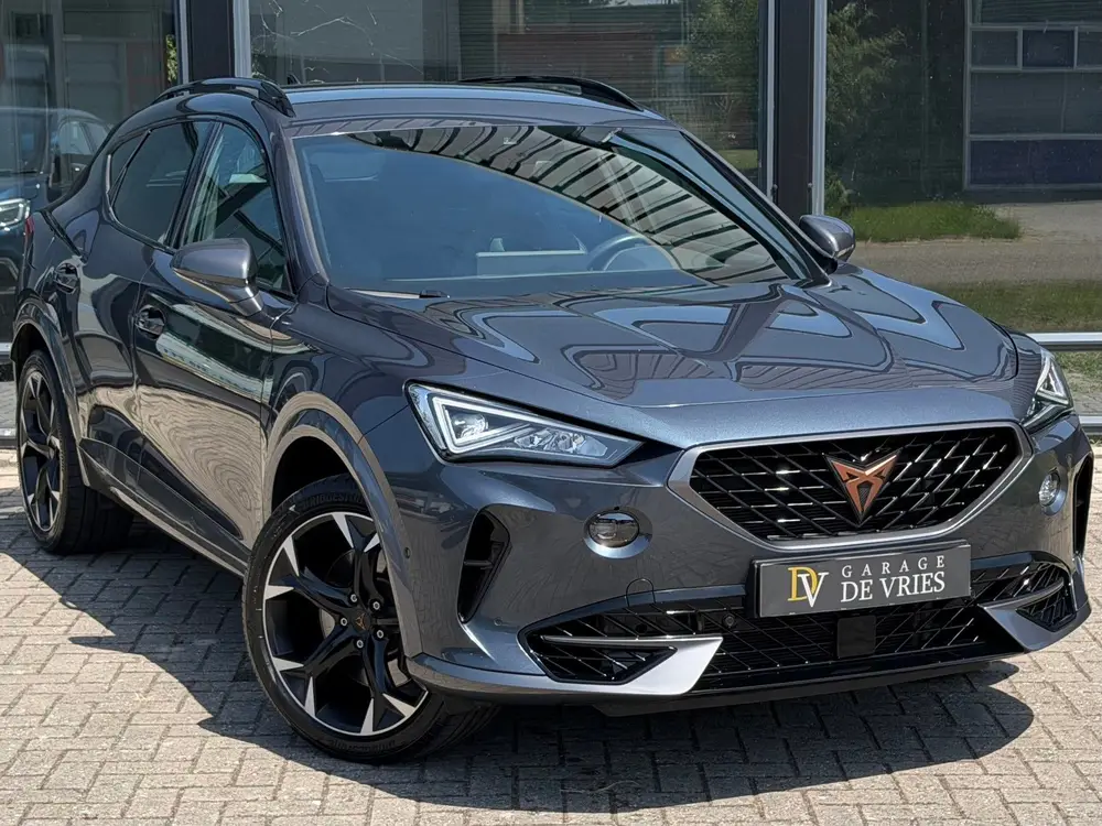 Cupra Formentor 2.0 TSI 4DRIVE VZ 310PK ACC Sportuitlaat Ful uit 2021, foto 18