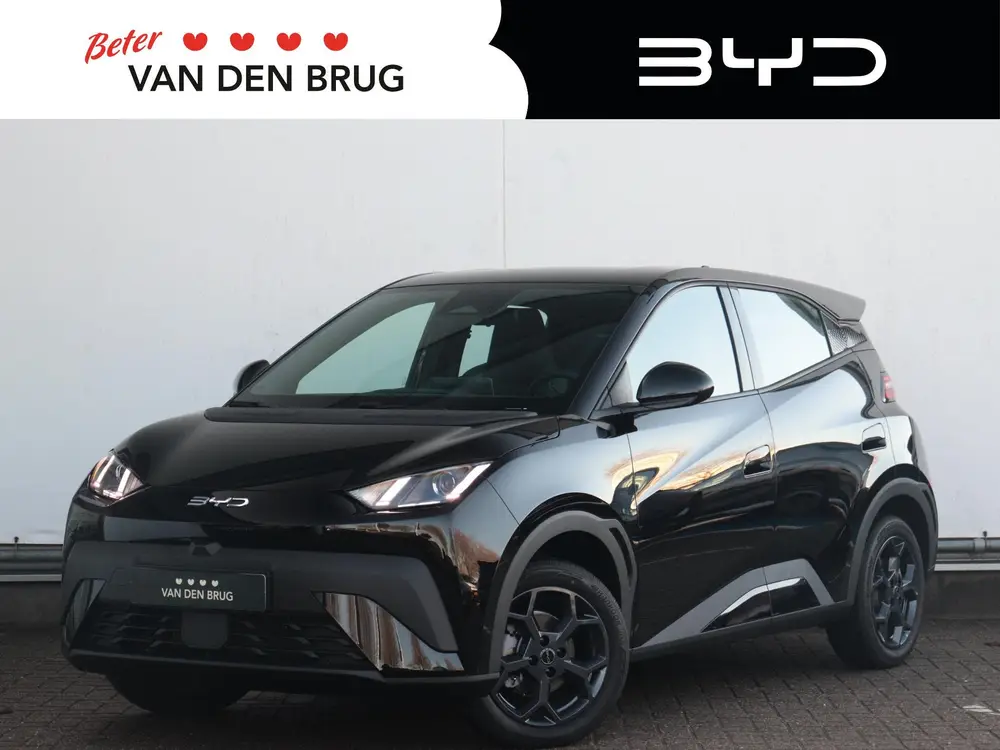 BYD Dolphin Surf Boost 43 kWh uit 2026
