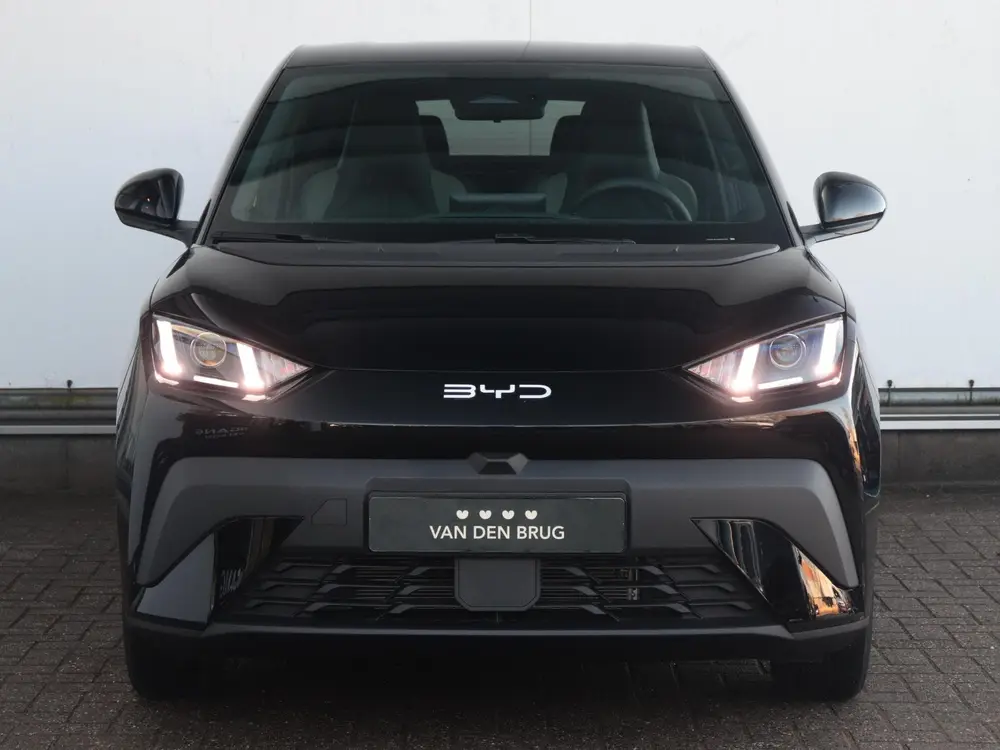 BYD Dolphin Surf Boost 43 kWh uit 2026, foto 3