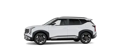 Kia Seltos 1.6 GDi DCT6 Hybrid X-line uit 2026