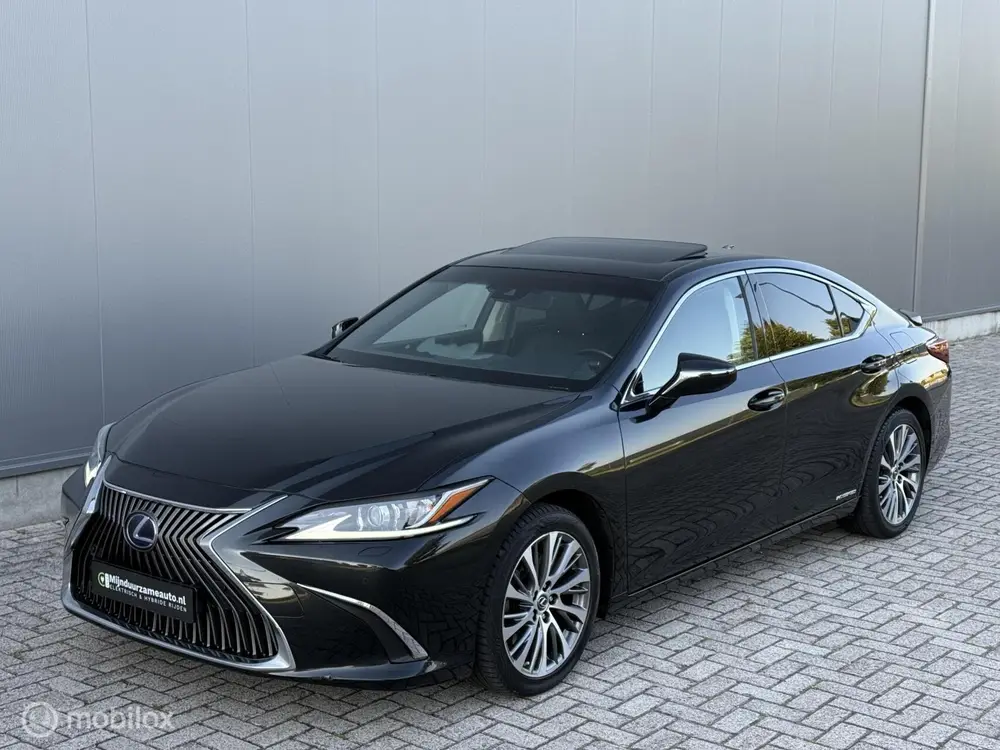 Lexus ES 300h Luxury Line |schuifdak | dealer onderhouden uit 2021, foto 18