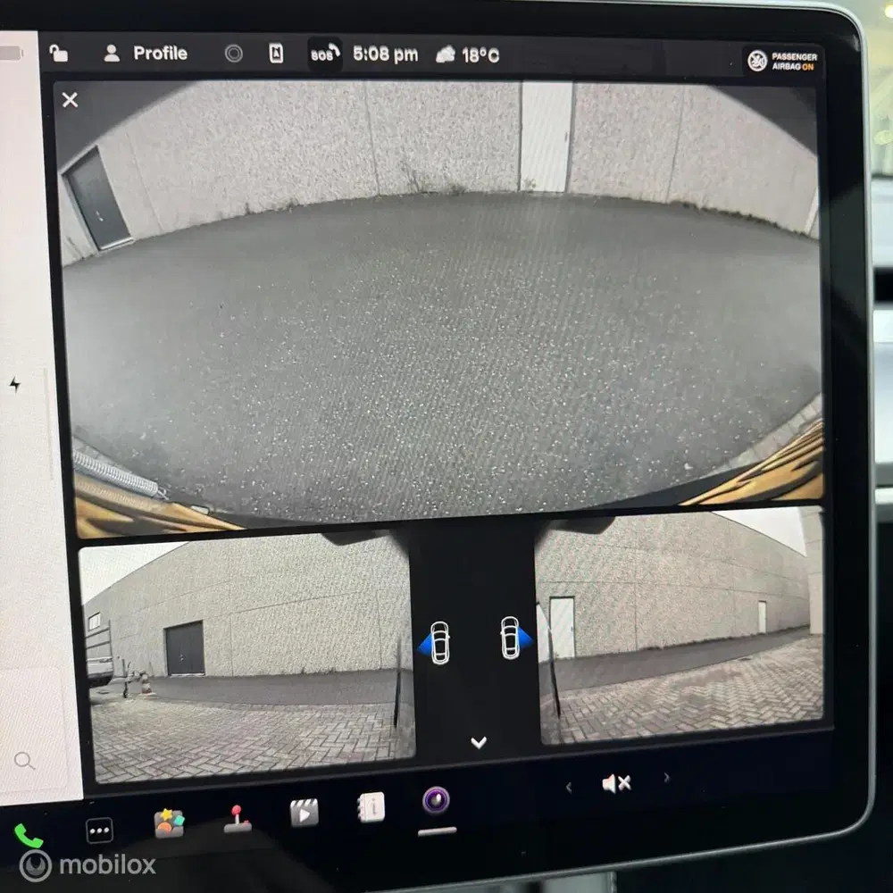 Tesla Model Y Performance + MMX PACK + IAP + 21" uit 2023, foto 17