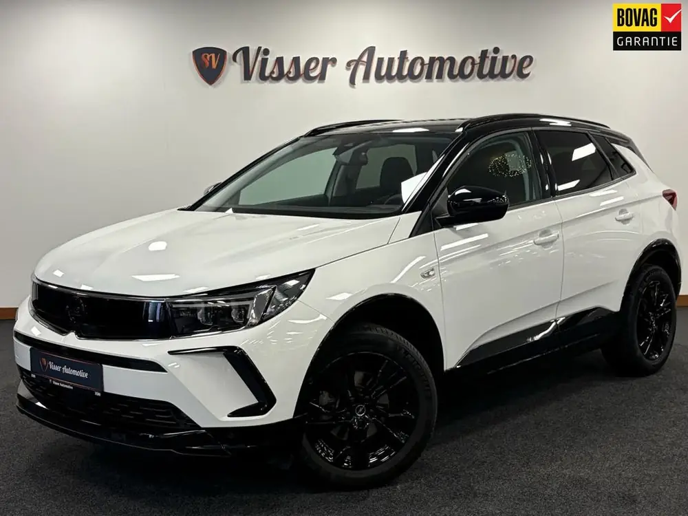 Opel Grandland 1.2 Turbo GS*ACC*PDC*Keyless*Winterpakket*Cam uit 2024