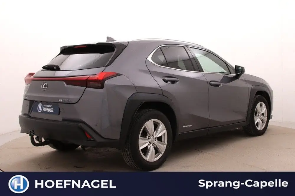 Lexus UX 250h Comfort Line | Trekhaak | Camera | Adaptive Cr uit 2020, foto 2