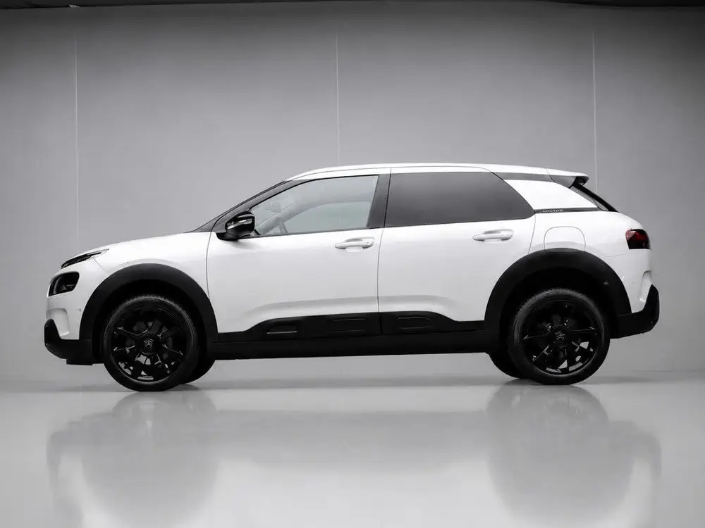 Citroën C4 Cactus Citroen C4 Cactus 1.2 PureTech Shine (PANO uit 2019