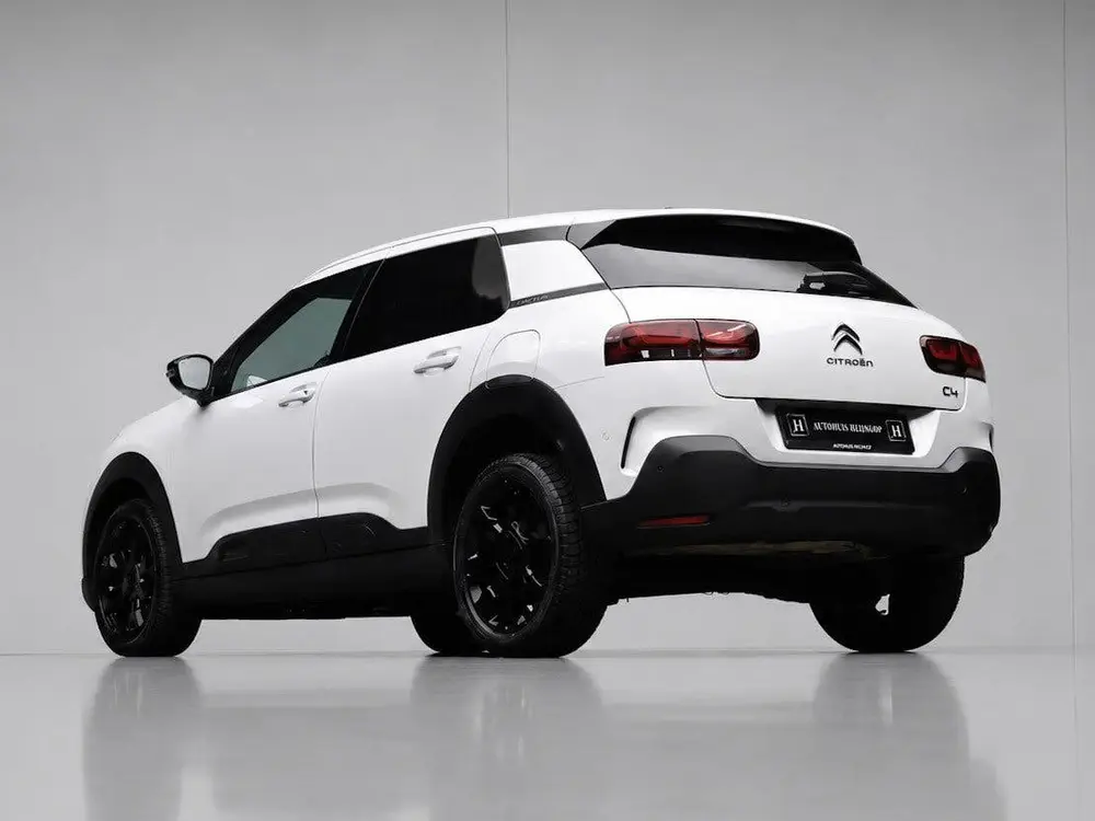 Citroën C4 Cactus Citroen C4 Cactus 1.2 PureTech Shine (PANO uit 2019, foto 4