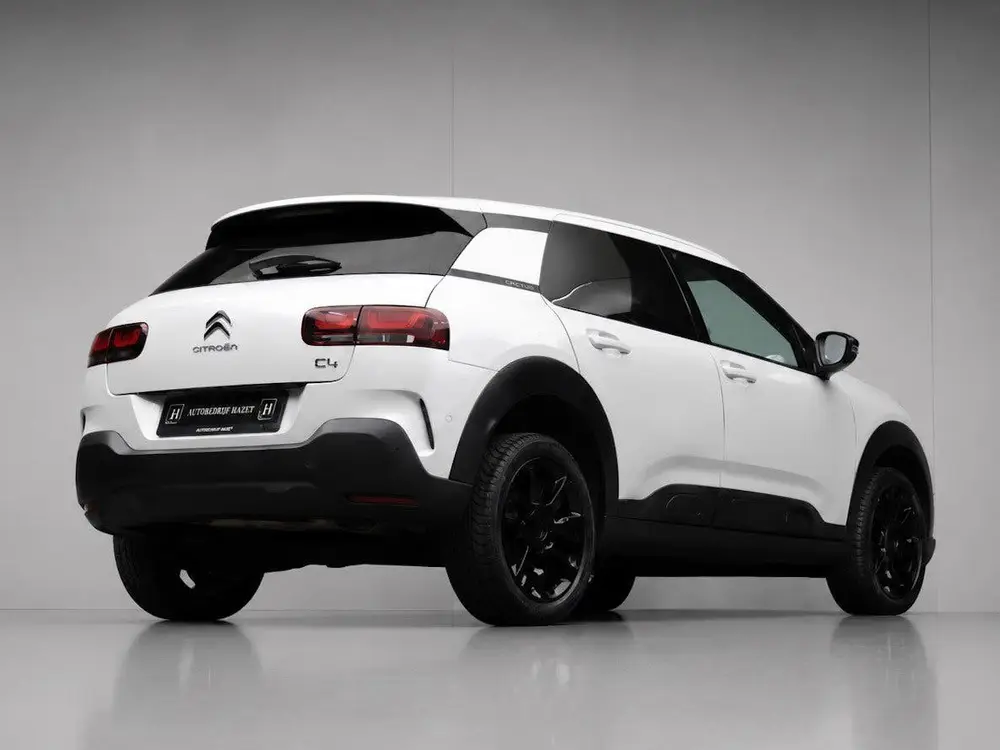 Citroën C4 Cactus Citroen C4 Cactus 1.2 PureTech Shine (PANO uit 2019, foto 5