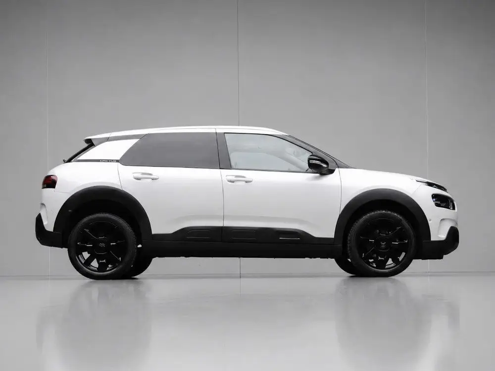 Citroën C4 Cactus Citroen C4 Cactus 1.2 PureTech Shine (PANO uit 2019, foto 6